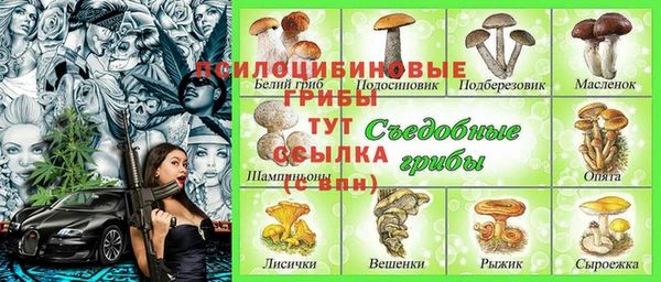 экстази Карпинск