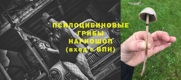 экстази Карпинск