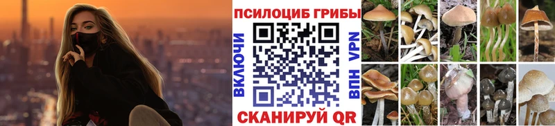 Купить где  Зубцов  Галлюциногенные грибы MAGIC MUSHROOMS 